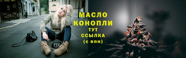 хмурый Дмитриев