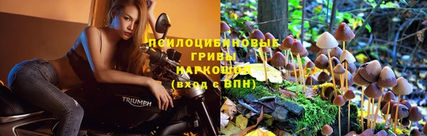 тгк Дмитровск