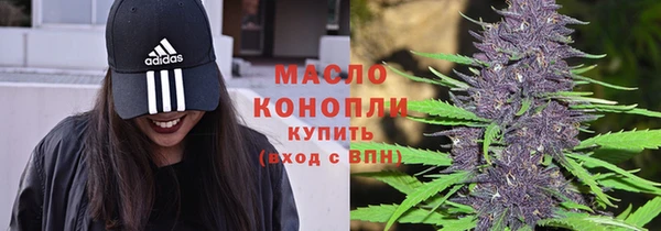 хмурый Дмитриев