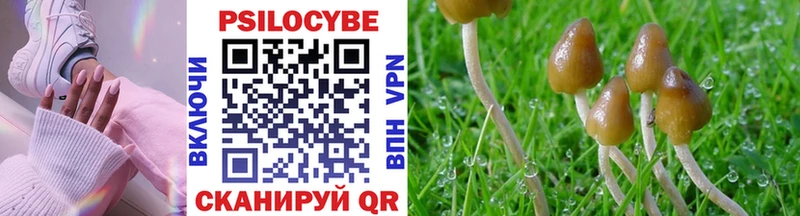 Псилоцибиновые грибы GOLDEN TEACHER  Купить  Балтийск 